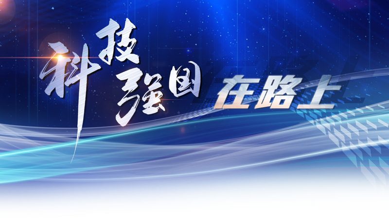 智能客服平台：价格之外，你还需要了解这些**