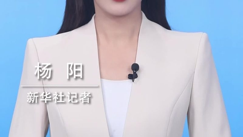企业数字化工具版本差异解析：如何选择合适版本