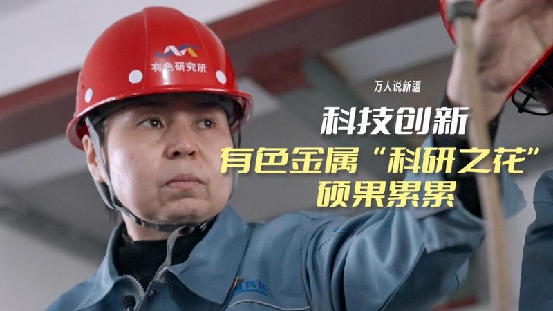 数据治理平台实施步骤：构建高效数据管理体系的必经之路